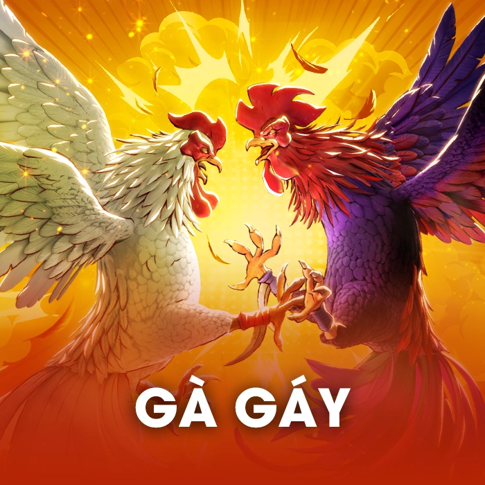 Gà Gáy