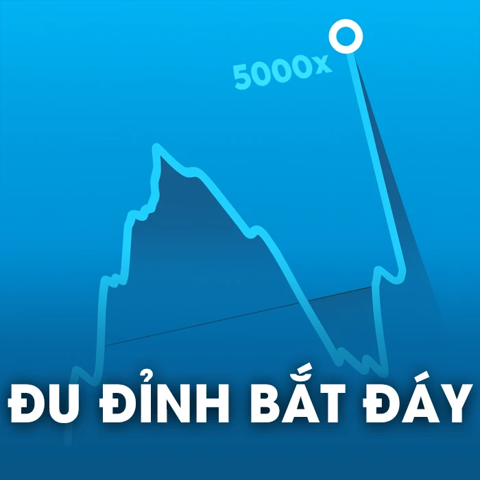Đu Đỉnh Bắt Đáy
